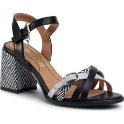 Sandały WRANGLER - Tropicana Holly WL01582A Black 062. Czarne klapki damskie Wrangler, bez wzorów, ze skóry ekologicznej, bez obcasa, na obcasie. W wyprzedaży za 169,00 zł.