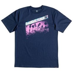DC Shirt Szturmowy Ss-Letni Blues edyzt03608 bra0 (Rozmiar M). Niebieskie koszulki sportowe męskie marki DC, m. W wyprzedaży za 85,00 zł.