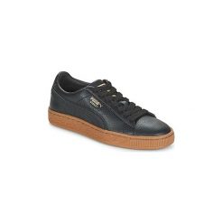 Buty Dziecko Puma JR BASKET CL GUM.BLK-GOLD. Czarne trampki dziewczęce Puma, bez wzorów, bez zapięcia. Za 231,20 zł.