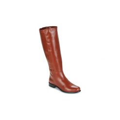 Buty zimowe damskie: Kozaki Betty London HADJA
