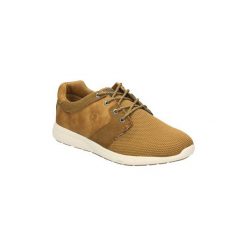 Trampki męskie: Buty C. Tapioca 4030-87