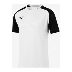 Puma Cup Training Jersey Core Koszulka Czarny Biały. Czarne podkoszulki męskie Puma, s, z haftami, z poliesteru, bez kołnierzyka, z krótkim rękawem, krótkie. Za 119,95 zł.