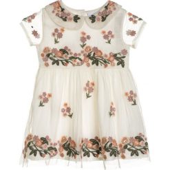 Sukienki dziewczęce z falbanami: Next FLORAL EMBROIDERED DRESS BABY Sukienka koktajlowa ecru