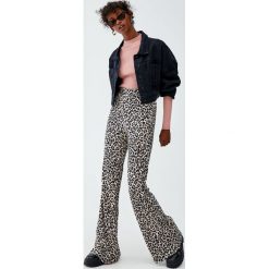 Spodnie w panterkę. Szare spodnie damskie Pull&Bear. Za 109,00 zł.