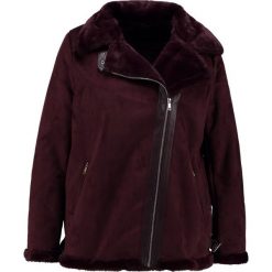 Bomberki damskie: Dorothy Perkins Curve SHEARLING BIKER Kurtka ze skóry ekologicznej burgundy