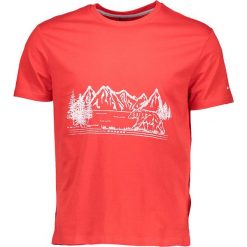 T-shirty męskie z nadrukiem: Koszulka „Plenitude” w kolorze czerwonym