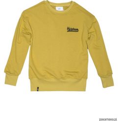 Bluza Damska Crewneck Grader Golden Olive. Zielone bluzy damskie Pakamera, bez wzorów, bez rękawów, bez kaptura. Za 199,00 zł.