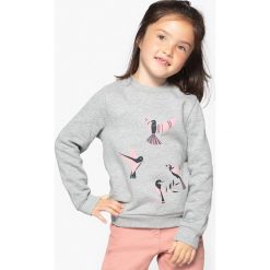 Bluzy dziewczęce: Bluza w ptaki 3-12 lat