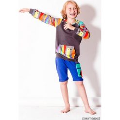 Bluza typu kangurka. Szare bluzy chłopięce rozpinane marki Pakamera. Za 159,00 zł.
