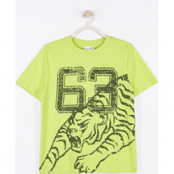 Koszulka. Zielone t-shirty chłopięce BASIC BOY, z nadrukiem, z bawełny, z długim rękawem. Za 24,90 zł.