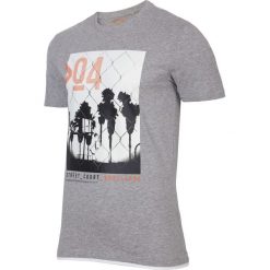 T-shirty męskie: T-shirt męski TSM004 – chłodny jasny szar