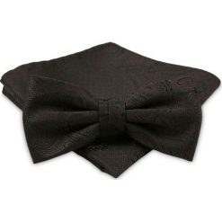 Ciemnobrązowa Mucha - ALTIES - Paisley, + Taka Sama Poszetka MUALTS0349. Muszki męskie Alties, na imprezę, w paski, eleganckie. Za 39,00 zł.