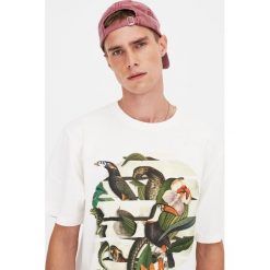 Koszulka z tukanem i wężem. Białe koszulki męskie Pull&Bear, m, bez wzorów, bez kołnierzyka, z krótkim rękawem, krótkie. Za 49,90 zł.