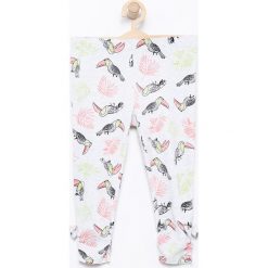 Legginsy dziewczęce: Legginsy rybaczki – Jasny szar
