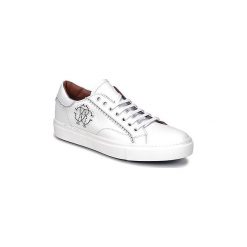 Trampki męskie: Buty Roberto Cavalli ANERO