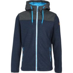 Kurtki sportowe męskie: Icepeak KIRK Kurtka z polaru blue