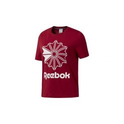 T-shirty z krótkim rękawem Reebok Classic Koszulka Classics Big Logo Graphic. Czerwone koszulki damskie Reebok Classic, s, bez wzorów, bez kołnierzyka. Za 129,00 zł.
