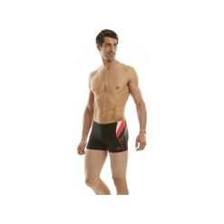 Kąpielówki męskie: Spodenki Speedo Logo Curve PNL Asht (8-090359330)