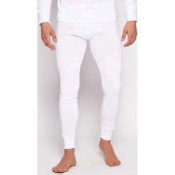 Kalesony męskie HENDERSON Basic. Szare kalesony męskie marki Henderson, m, bez wzorów, z bawełny. Za 47,99 zł.