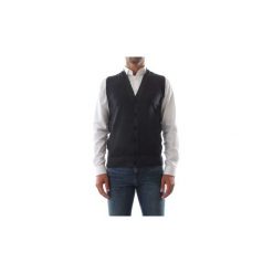 Swetry rozpinane / Kardigany Wool co WO 0004. Szare swetry męskie Wool co, m, bez wzorów. Za 235,88 zł.