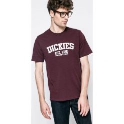 T-shirty męskie z nadrukiem: Dickies - T-shirt