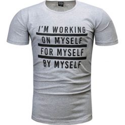 Koszulka męska t-shirt z nadrukiem szary Recea. Szare koszulki męskie Recea, xl, z nadrukiem, z bawełny, bez kołnierzyka. Za 19,99 zł.