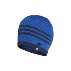 Czapki zimowe damskie: Czapki adidas Czapka beanie Tiro15