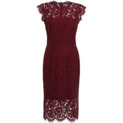 Sukienki: Rachel Zoe SUZETTE Sukienka etui maroon
