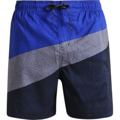 Kąpielówki chłopięce: Nike Performance VOLLEY Szorty kąpielowe obsidian