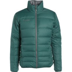 Kurtki sportowe męskie: Mammut WHITEHORN IN Kurtka puchowa bottle/titanium