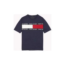 T-shirty z krótkim rękawem Dziecko Tommy Hilfiger KS0KS00036 U FLAG TEE. Czarne t-shirty chłopięce TOMMY HILFIGER, bez wzorów, z krótkim rękawem. Za 135,35 zł.
