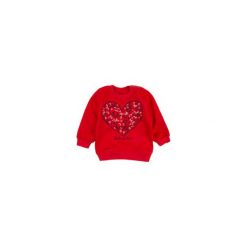 Bluzy niemowlęce: bluza gładka, z printem ze ściągaczami, nierozpinana