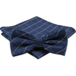 Modna Mucha Męska - Alties - Granat w Kratkę MUALTS0306. Niebieskie muszki męskie Alties, na imprezę, w paski, eleganckie. Za 40,00 zł.
