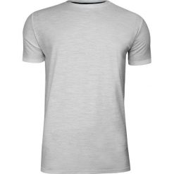 Szary Bawełniany T-Shirt Męski Bez Nadruku -Brave Soul- Koszulka, Krótki Rękaw, Basic TSBRSSS20GRAILecruemarl. Szare koszulki męskie Brave Soul, na lato, m, z nadrukiem, z bawełny, casualowe, bez kołnierzyka, krótkie. Za 29,00 zł.