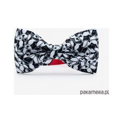 Mucha BOSTON TERRIER. Muszki męskie Pakamera, w paski. Za 89,00 zł.