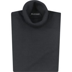 Antracytowy / ciemnografitowy golf męski SW15. Szare swetry męskie Lanieri Fashion - swetry męskie, m, bez wzorów, z wełny, casualowe, z golfem, bez kaptura. Za 134,10 zł.
