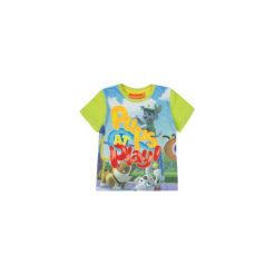 T-shirt krótki rękaw chłopięcy z printem Psi Patrol. Szare t-shirty chłopięce z krótkim rękawem marki TXM. Za 11,99 zł.