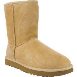 Ugg żółte Classic Short Ii Sand. Żółte śniegowce damskie Ugg, z wełny, bez zapięcia. W wyprzedaży za 699,00 zł.