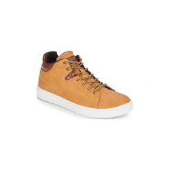 Buty André SPORTIF. Pomarańczowe trampki męskie marki Andre, bez wzorów, bez zapięcia. Za 247,20 zł.