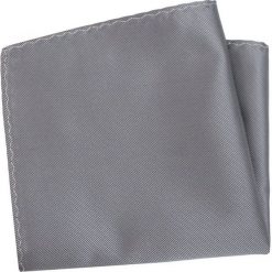 Szara Elegancka Poszetka -ALTIES- 25x25 cm, Męska, Jednokolorowa, Popielata POSZALTTANIA0527. Szare poszetki męskie Alties, bez wzorów, z materiału, eleganckie. Za 16,90 zł.