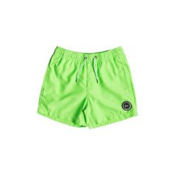 Kostiumy kąpielowe Dziecko Quiksilver Everyday 13" - Traje De Ba?o. Zielone kąpielówki chłopięce marki Quiksilver. Za 122,65 zł.