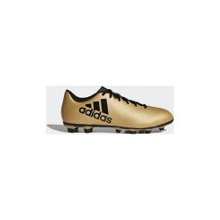Buty sportowe męskie: Buty do piłki nożnej adidas Buty X 17.4 FG