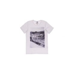 T-shirty męskie: t-shirt męski gładki
