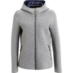 Kurtki sportowe damskie: Salewa SARNER Kurtka Outdoor quiet shade