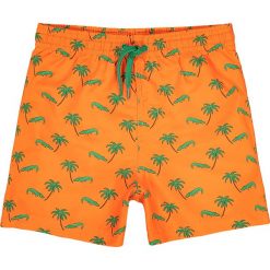 Szorty kąpielowe z nadrukiem 3-12 lat. Brązowe kąpielówki chłopięce marki La Redoute Collections, z nadrukiem. Za 52,88 zł.