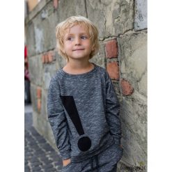 Bluzka Teo Miami !. Szare t-shirty chłopięce z długim rękawem marki Pakamera. Za 65,00 zł.