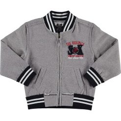 Bluza w kolorze szarym. Szare bluzy niemowlęce SRK, Miss Girly, bez wzorów, bez rękawów, bez kaptura. W wyprzedaży za 39,95 zł.