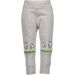 Blue Seven Dresy Chłopięce 74 Szary. Szare spodnie chłopięce marki Blue Seven, z bawełny. Za 42,00 zł.