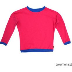 Long sleeve PINK BLUE. Różowe bluzy dziewczęce marki Pakamera. Za 79,00 zł.