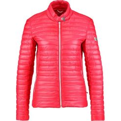 Kurtki damskie: Frieda & Freddies NEW JUDY Kurtka przejściowa cherry red